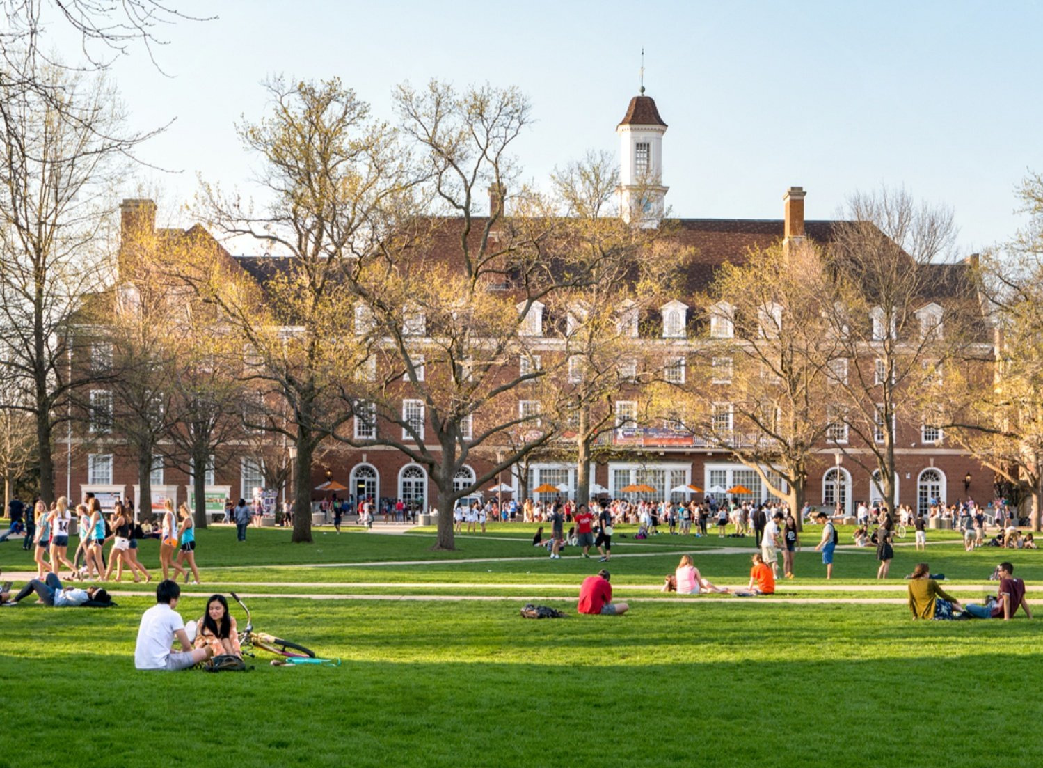 Educational Campus Lawn